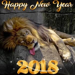 Meet your Posher, Liubov